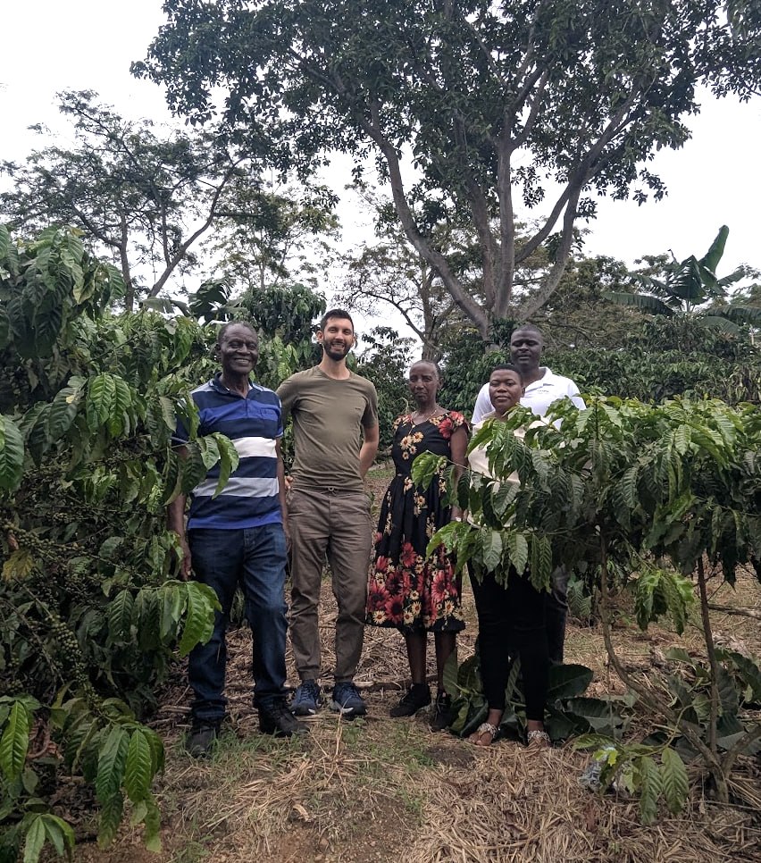 Plantation field work